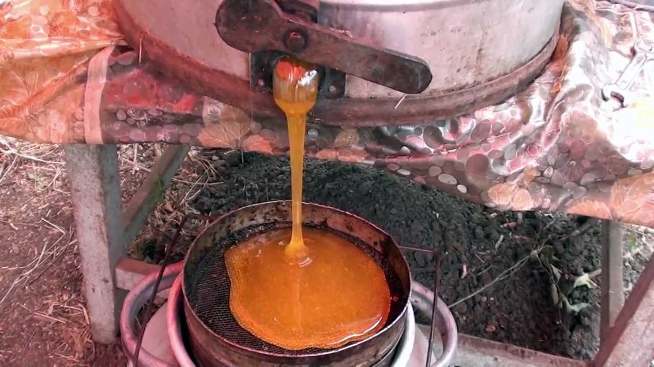 Процесс откачки меда из сот без медогонки