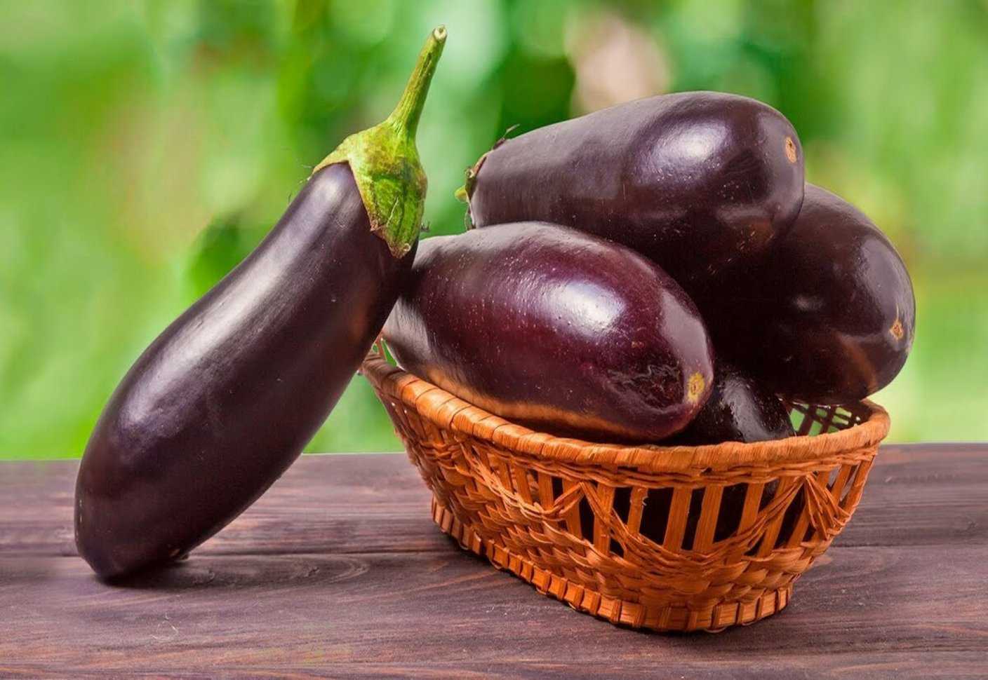 Блюда из баклажанов - 20 быстрых и вкусных рецептов, что приготовить из баклажанов