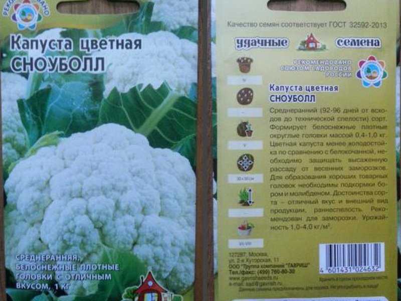 Цветная капуста сноуболл 123: отзывы, фото и описание