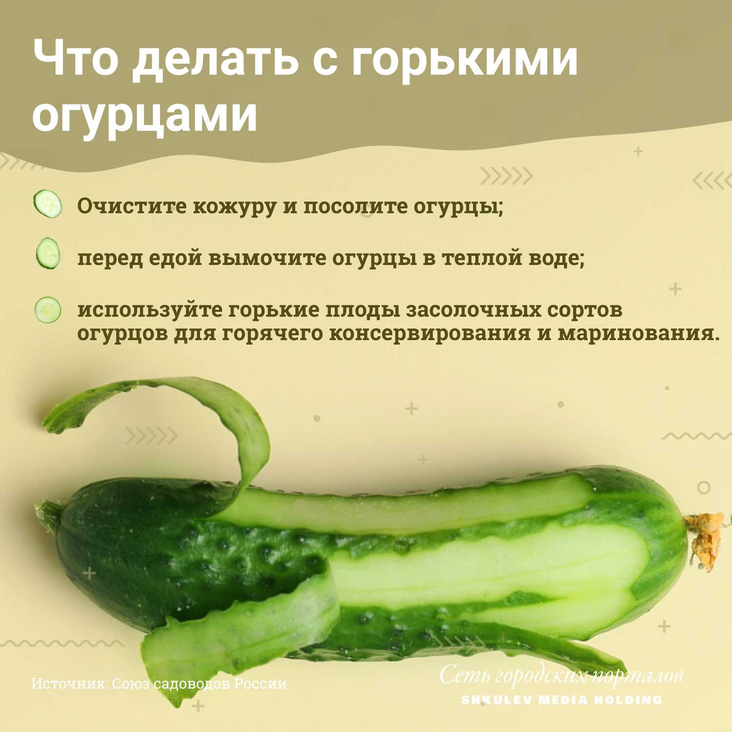 Почему в теплице огурцы горькие