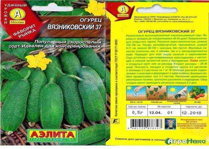 Огурцы дружная семейка — характеристика и правила выращивания сорта