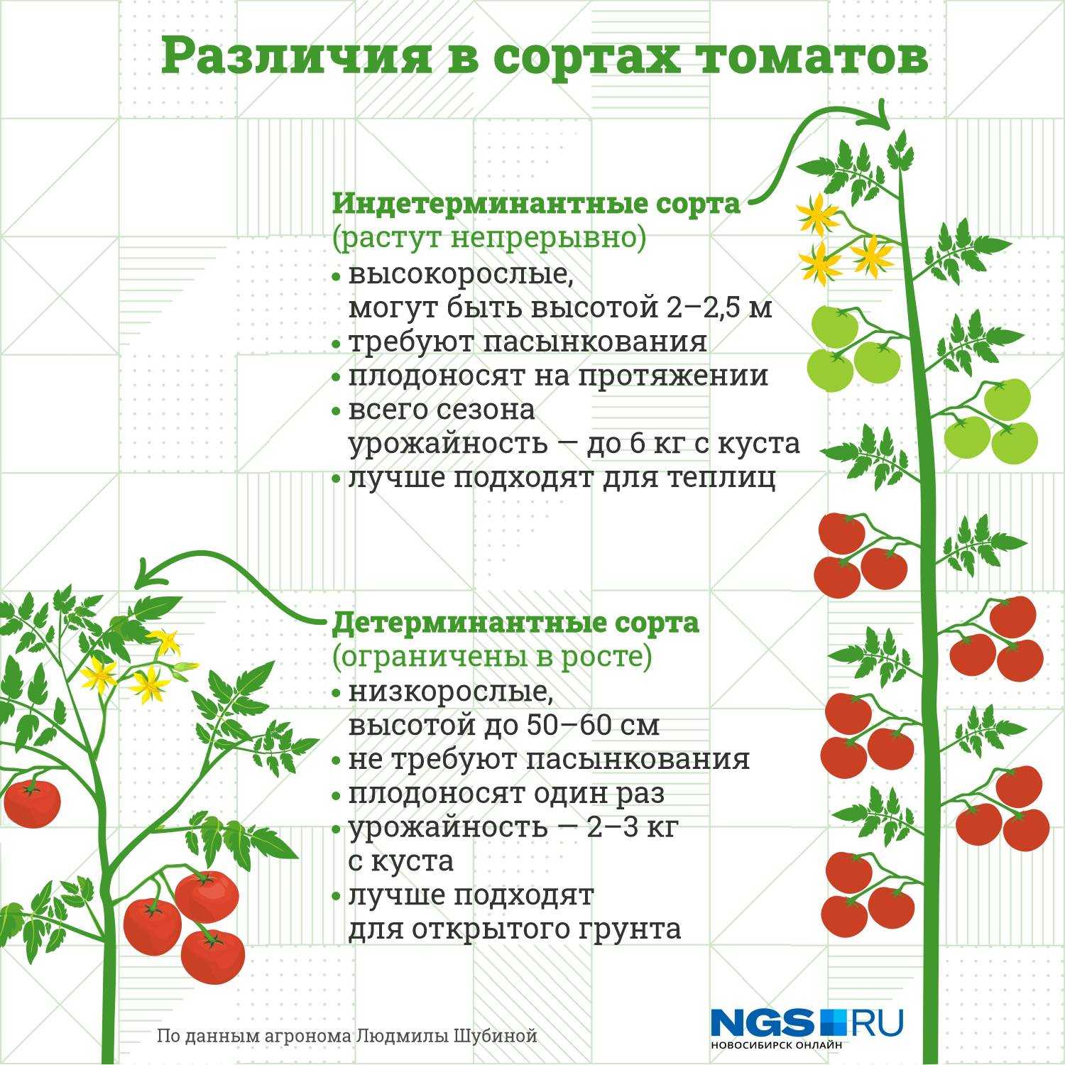 Как правильно формировать детерминантные томаты