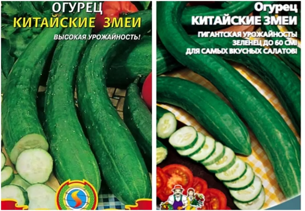 Огурец китайский змей: описание сорта, фото