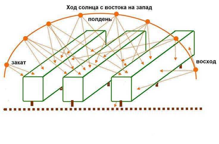 Правильный уход за клубникой для получения большого урожая. секреты выращивания клубники. фото — ботаничка