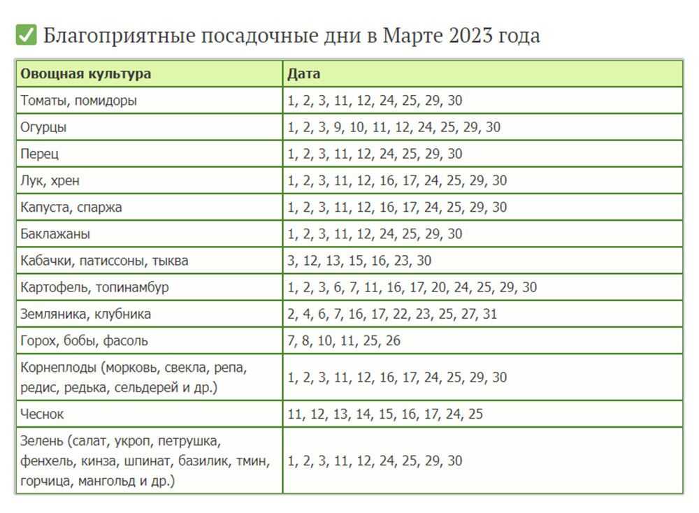 Благоприятные дни для посадки огурцов в июле 2023 года: календарь, уход