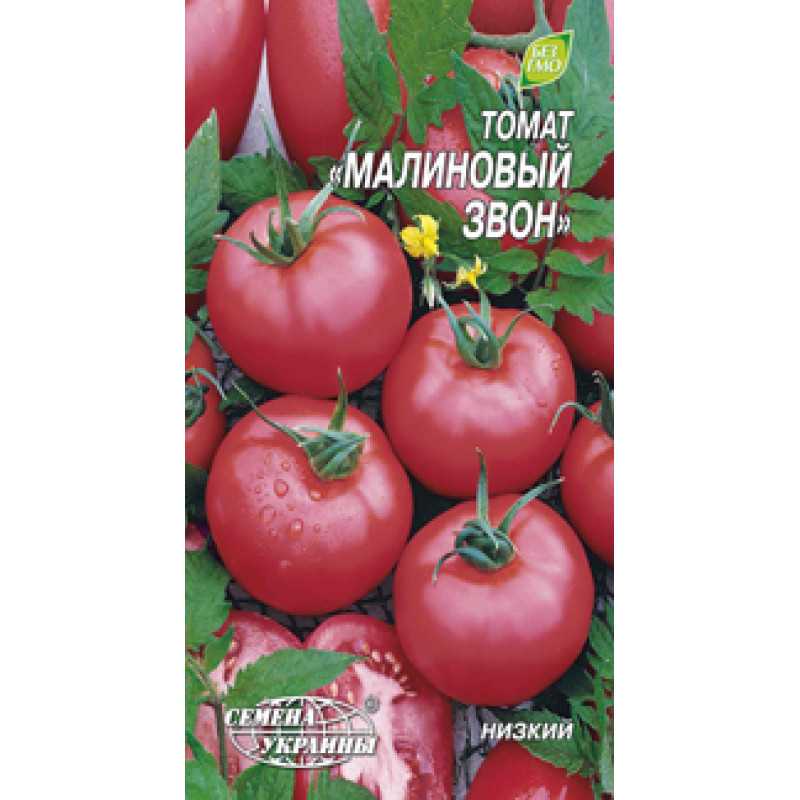 Томат малиновый звон: характеристика и описание сорта помидоров, а также пошаговая инструкция по их выращиванию