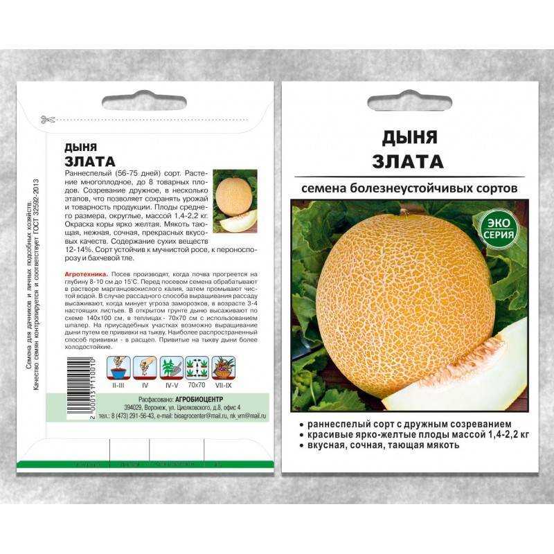 Сорта дыни: обзор лучших, сладких для средней полосы, подмосковья | ягодный сад, или прикладное садоводство в советах, вопросах и ответах
