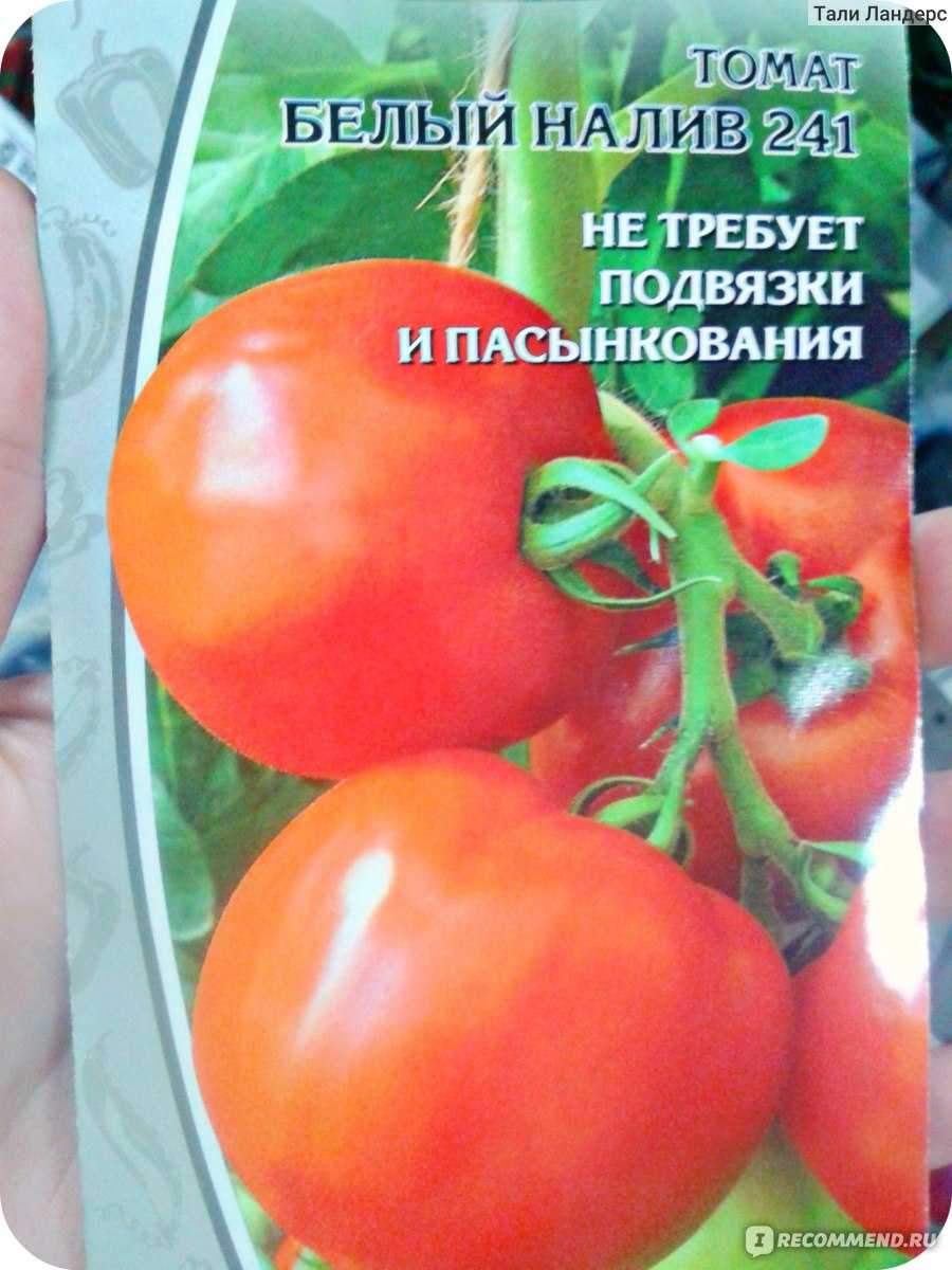 Томат белый налив: отзывы, урожайность сорта, описание + фото
