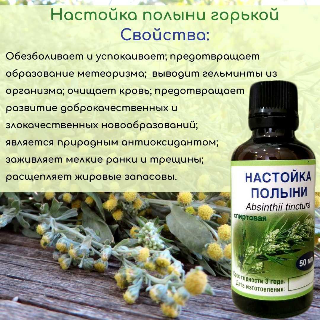 Живокость полевая - лечебные свойства и противопоказания