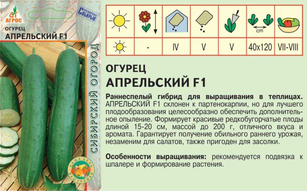 Выбираем самые сладкие сорта огурцов, которые никогда не горчат