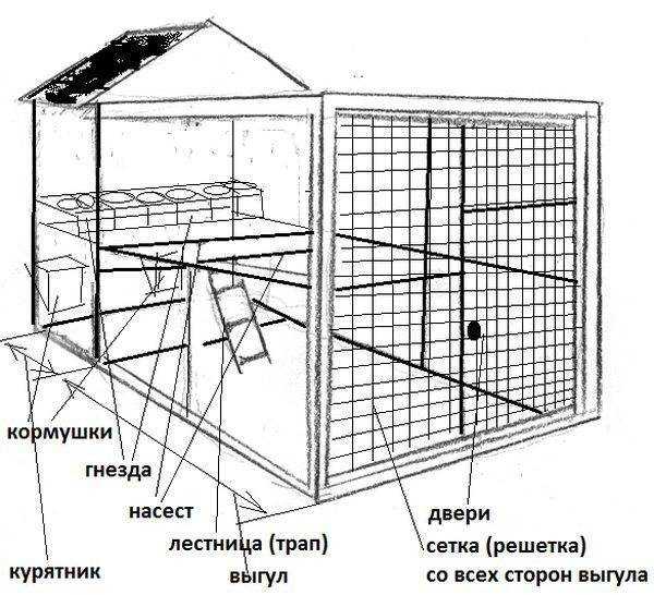 Содержание кур несушек в домашних условиях: разведение, кормление, выращивание