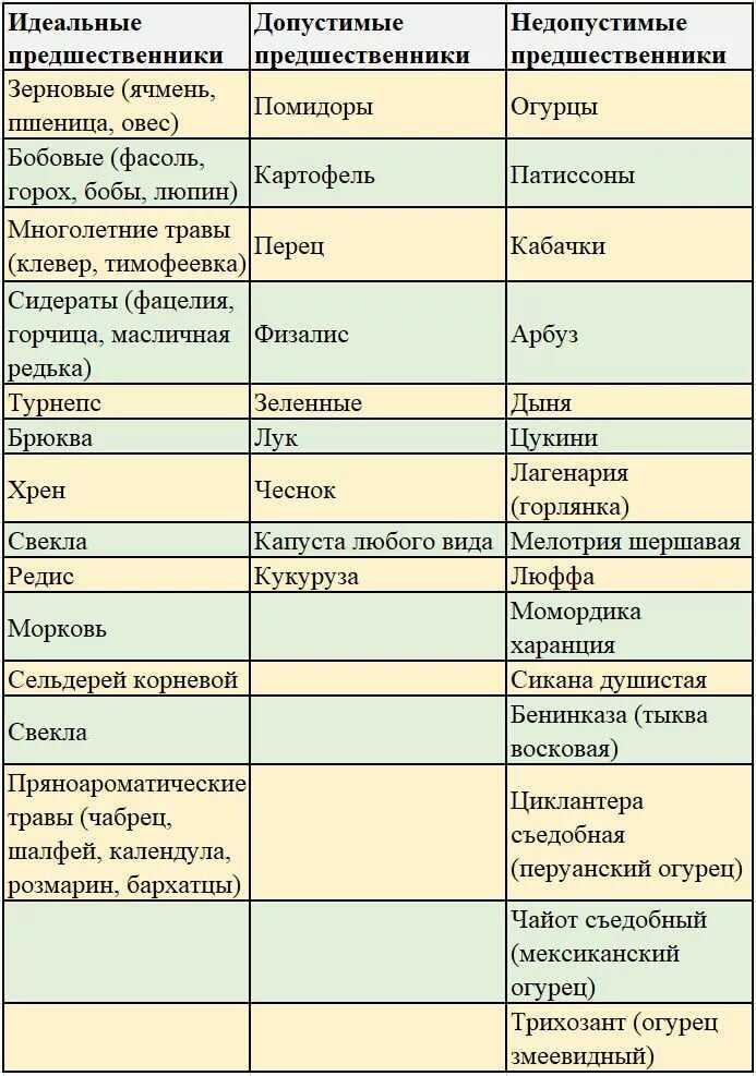 Что посадить после томатов на следующий год