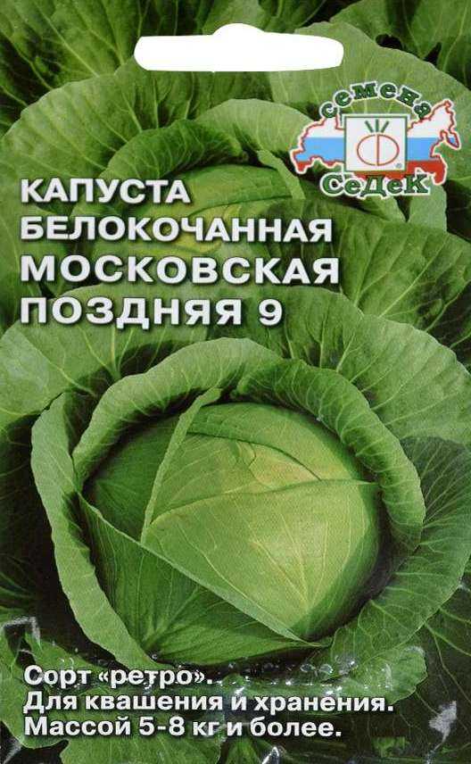 Лучшие сорта капусты с названиями описанием и их характеристикой