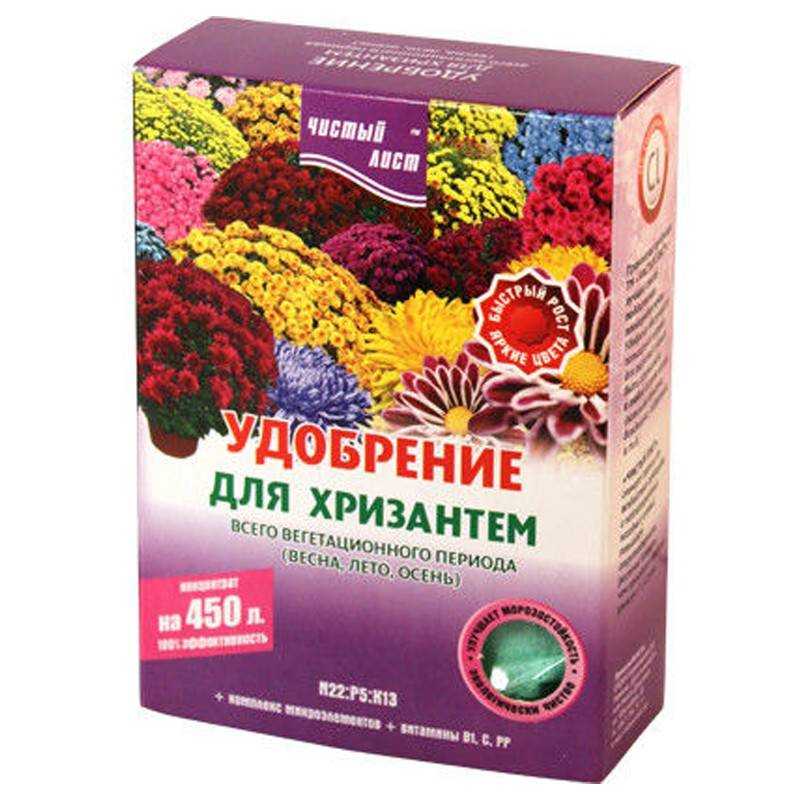 Чем подкормить хризантемы осенью для лучшего цветения? - все о саде и огороде - посадка и уход за растениями