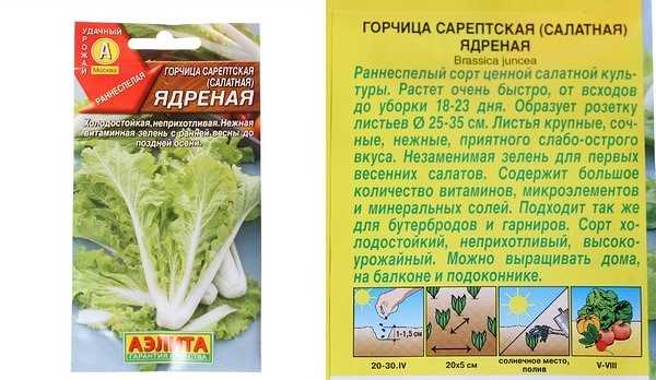 Салатная горчица: виды и агротехника — floraprice.ru