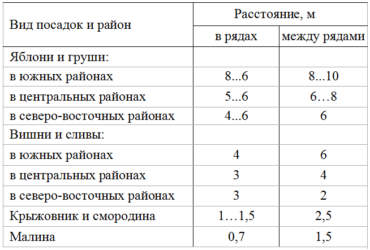 Плодовые деревья и кустарники в саду: схема посадки, как правильно расположить растения в саду, фото