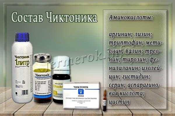 Что такое чиктоник? инструкция по его применению для птиц, кроликов, индюшат