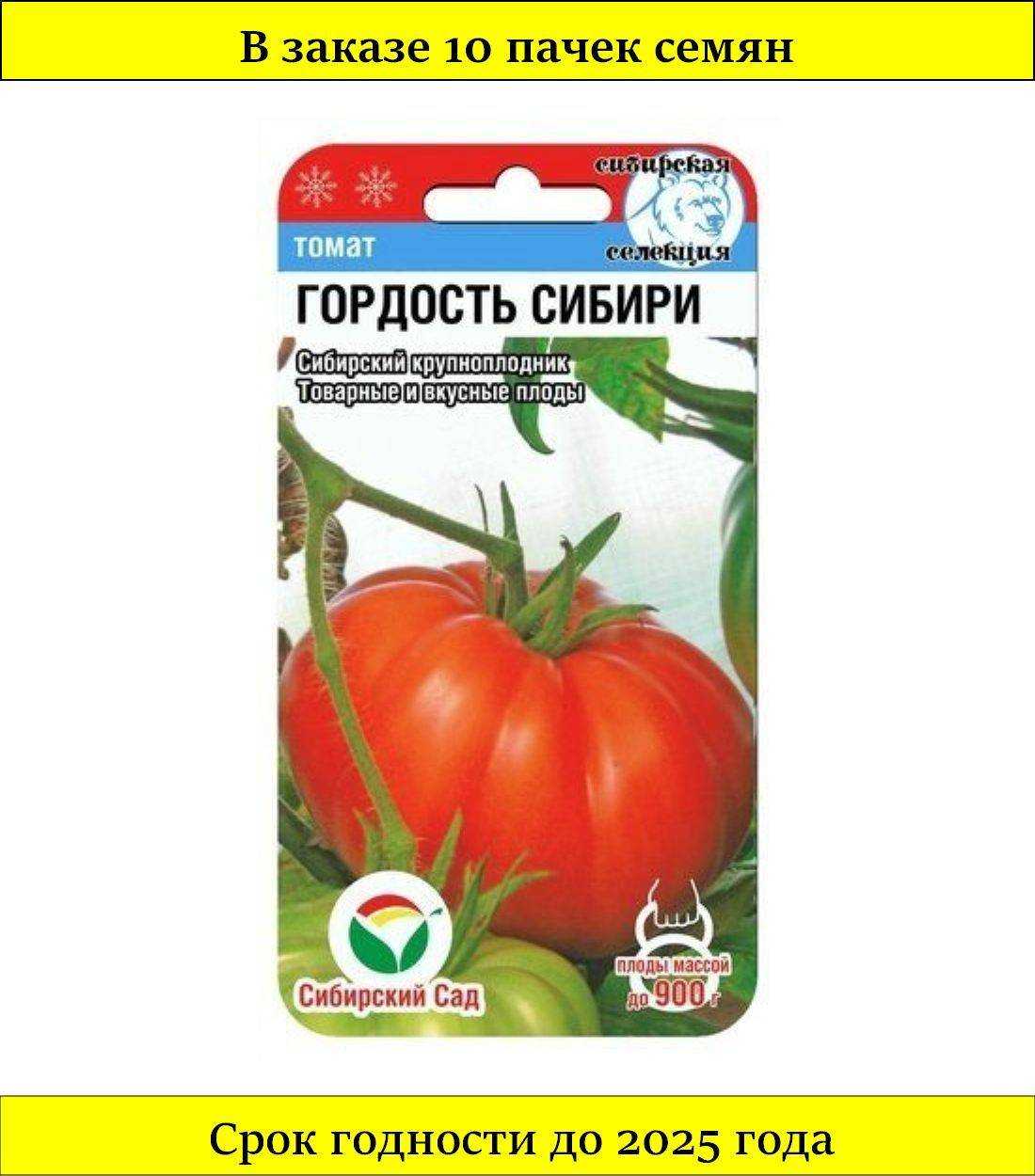 Томат гордость сибири: отзывы, фото кустов и плодов, плюсы и минусы выращивания данного сорта и секреты агротехники