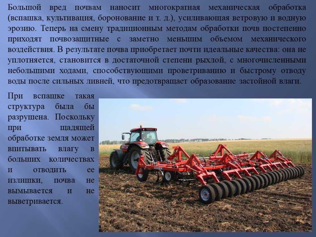 Посадка картофеля весной в открытый грунт: правила высадки клубней