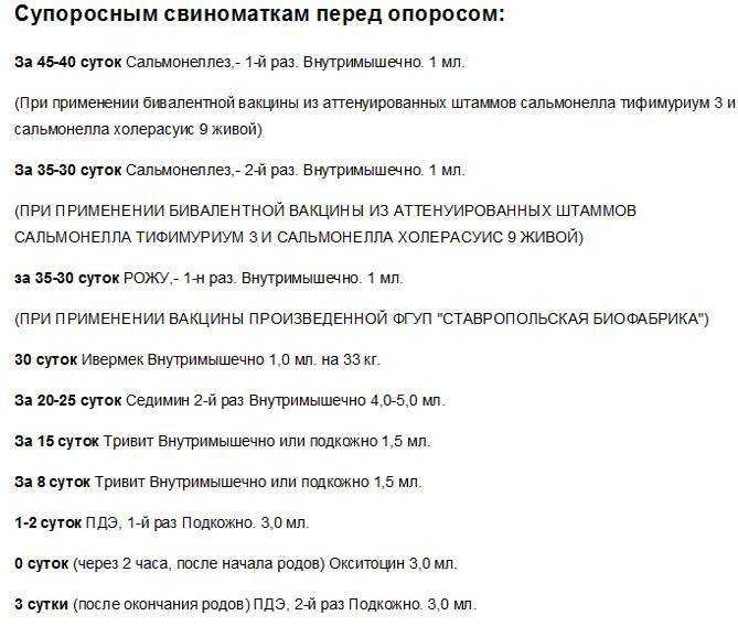 График необходимых прививок: вакцинация поросят