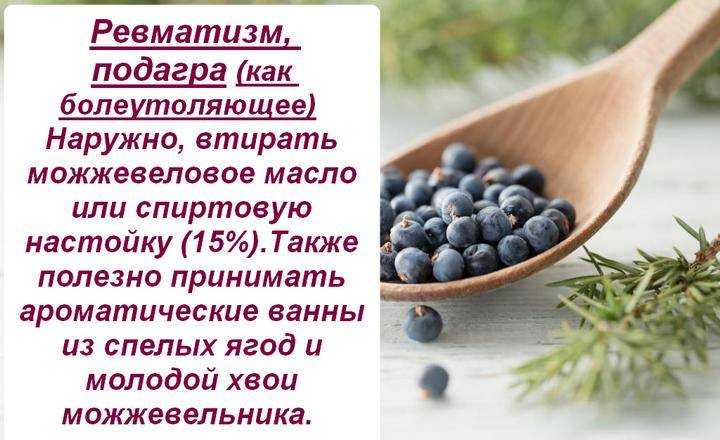 Можжевельник