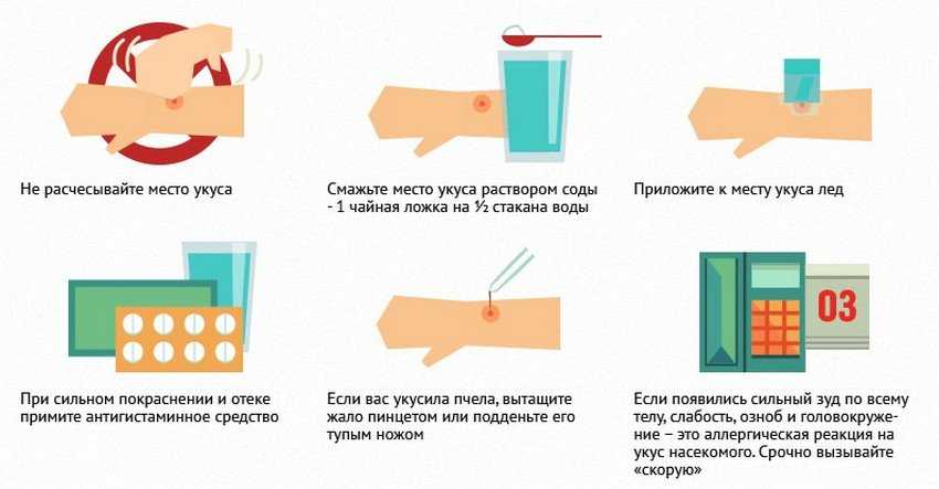 Укус пчелы: как снять отек медикаментозными и народными средствами