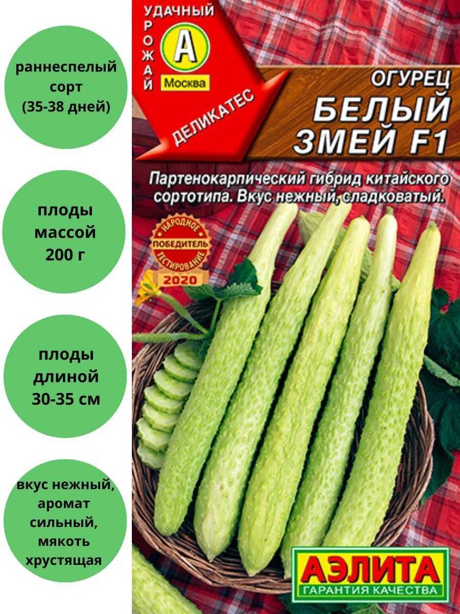 Огурцы «китайские змеи»: описание характеристик. посадка и уход, урожайность сорта и выращивание из семян (фото)