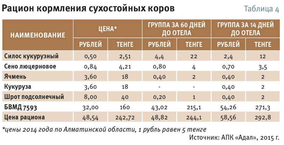 Корова: описание, породы, cодержание, уход, разведение | планета животных