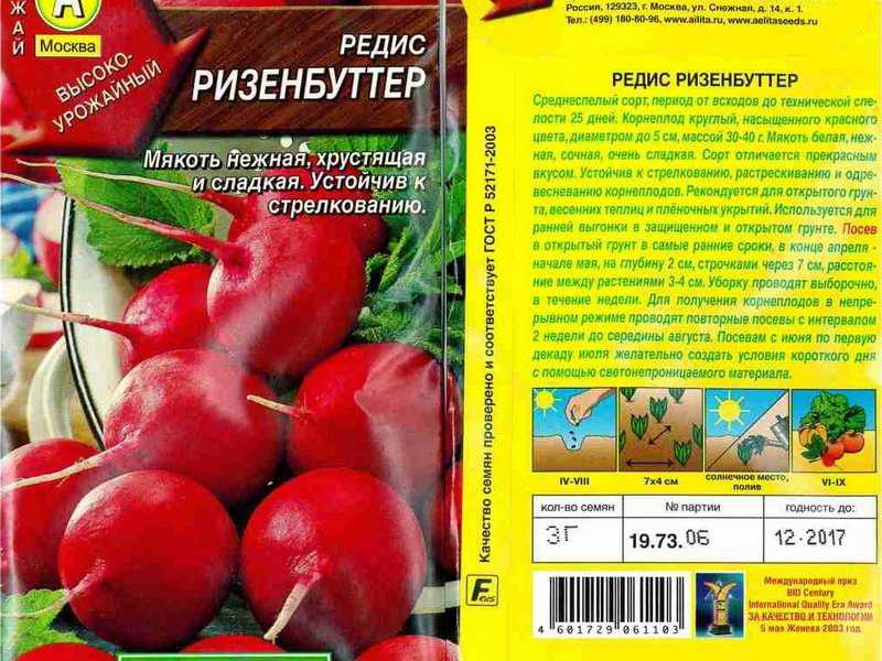 Все о лучших сортах редиса для посадки в открытый грунт: какие семена подходят