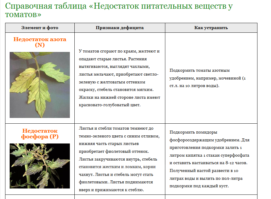 Желтеют листья у томатов в теплице что делать
