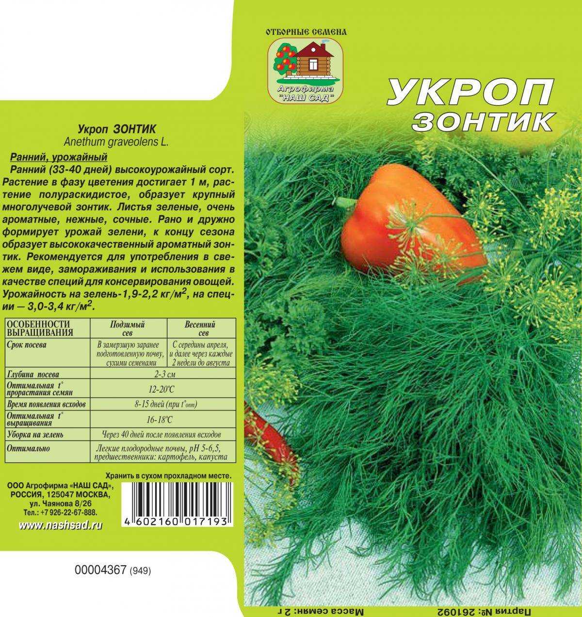 Лучшие сорта кустового укропа и их описание