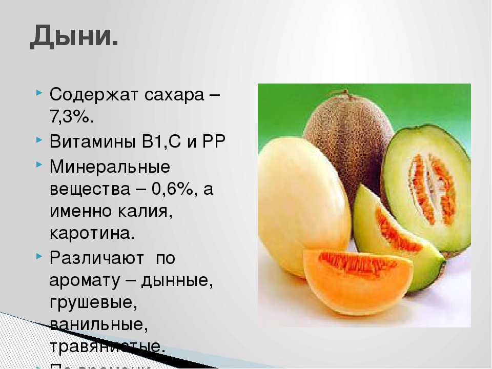 Дыня: это овощ, фрукт или ягода? описание, состав, польза и вред