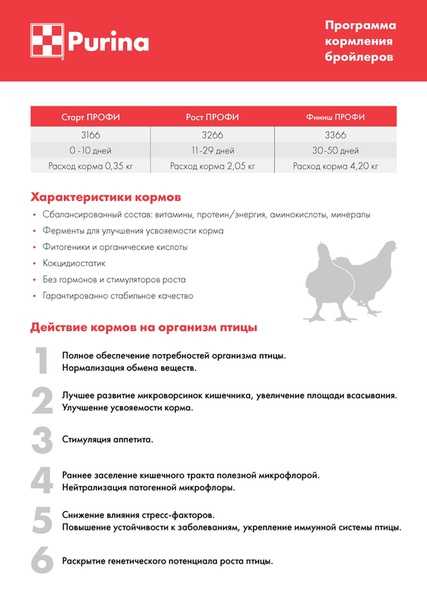 Комбикорм пк-5 и пк-6 для бройлеров: состав, описание, известные марки