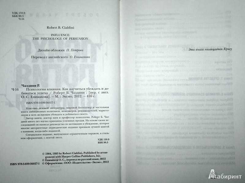 Управление лошадью на уроках верховой езды: виды аллюров и описание