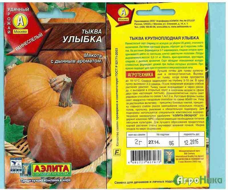 Какие сорта маленькой тыквы наиболее популярны?
