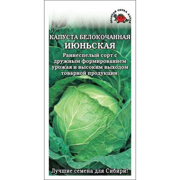 Капуста июньская: описание, отзывы, фото и характеристика раннего сорта