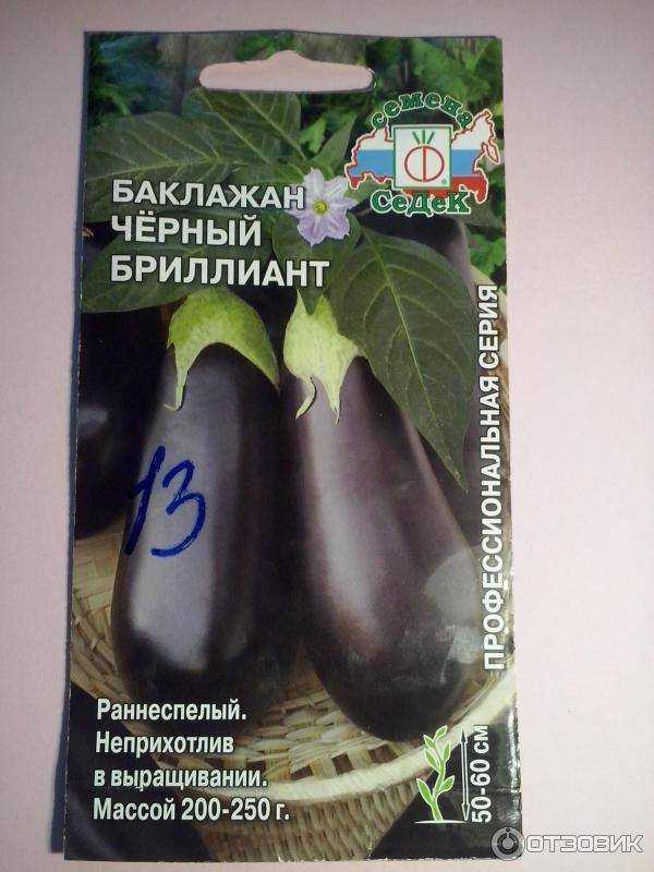 Баклажан «черный красавец»
