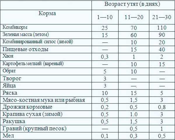 Кормление и содержание утят в первые 3 недели жизни