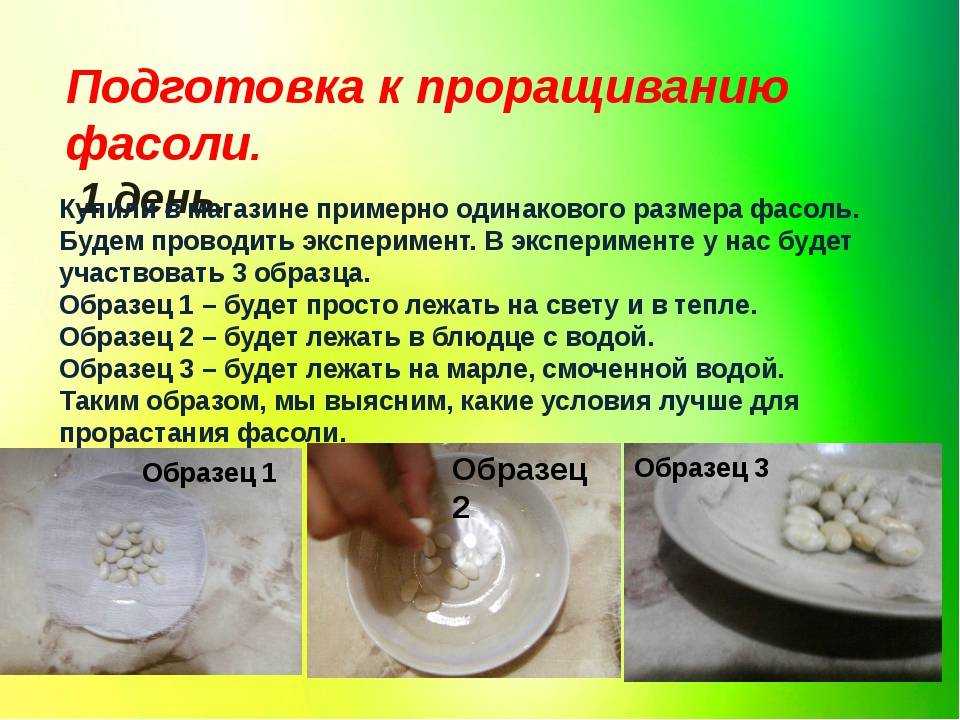 Как прорастить фасоль за одну ночь