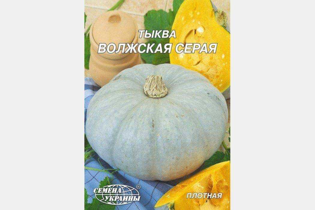 Тыква волжская серая 92: описание и фото, отзывы