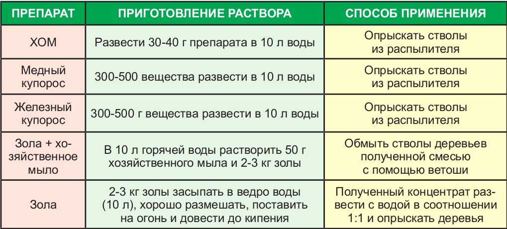 Чем обработать рассаду томатов после высадки в открытый грунт