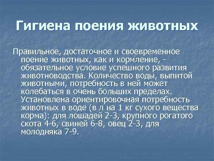 ✅ что ест лошадь: чем кормят жеребят и взрослых лошадей в домашних условиях