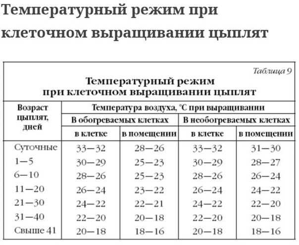 Купание малышей в бассейне | плавание ребенка в бассейне