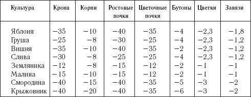 Чем укрыть клубнику от морозов: на зиму, весной, летом