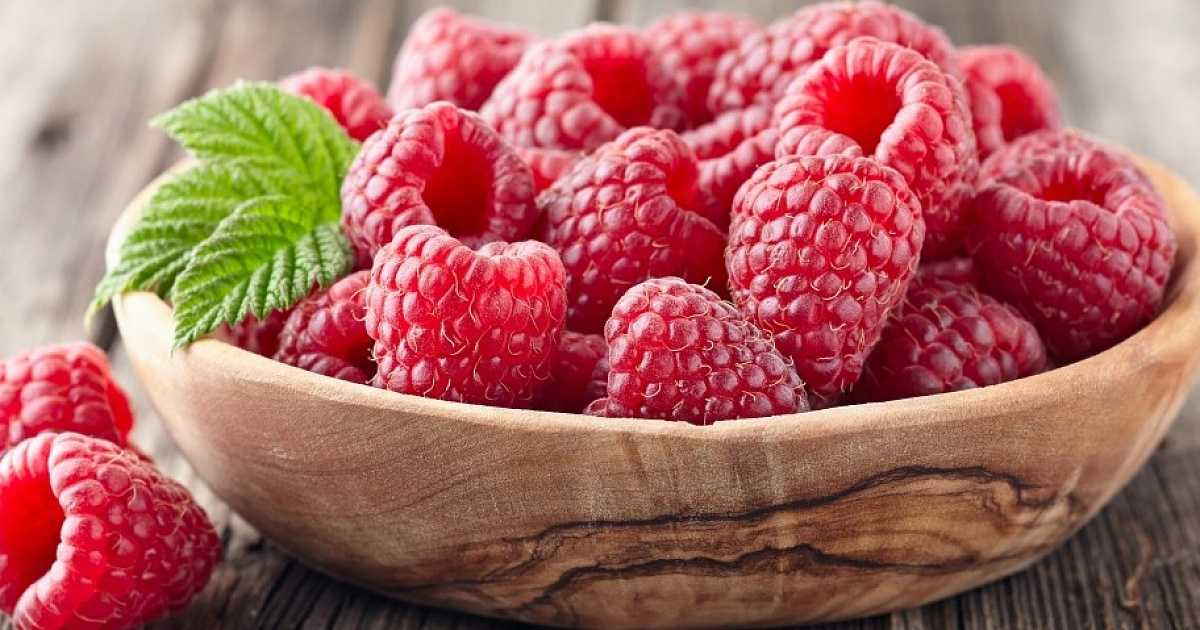 Самые лучшие сорта ремонтантной малины: урожайные, крупные и вкусные