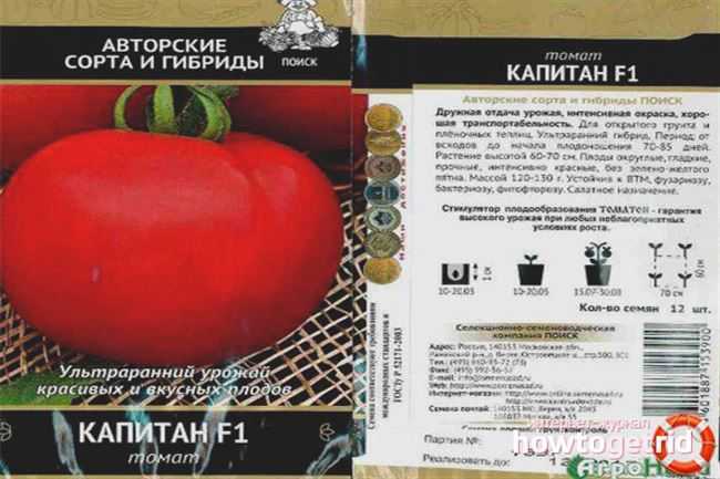 Капитан: описание сорта томата, характеристики помидоров, посев, агротехника