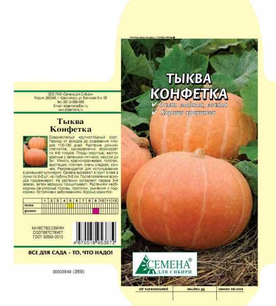 Тыква конфетка: описание сорта, фото, отзывы, выращивание и уход