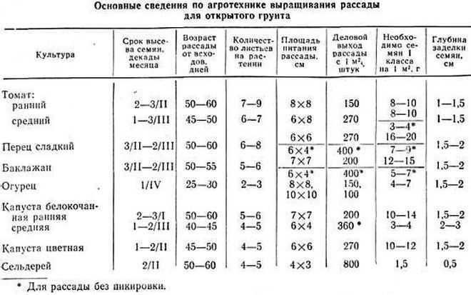 Какие заморозки выдерживают посевы в огороде