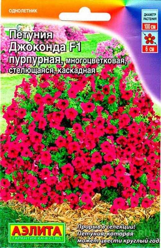 Многоцветковая каскадная петуния джоконда