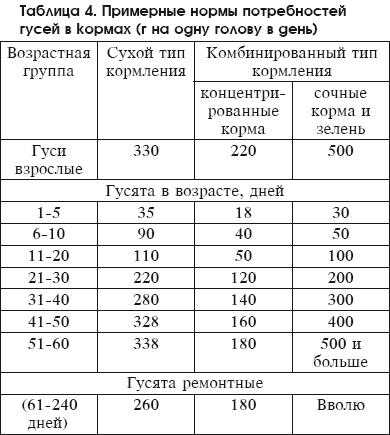 Правильное выращивание и содержание гусят